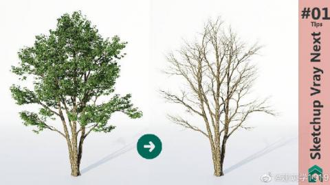 默认教学计划 